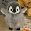holloooooi