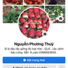 fbnguyenphuongthuy