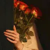 user1339102179692