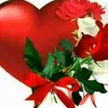 abo_ahmed_76