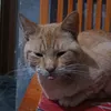 giioovanni07