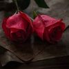 abd_9427
