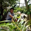 quanthuc