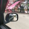 tomasemase38