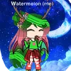 watermelon_gacha2009