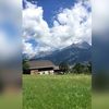 mooloobii