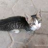 mohamedsamir5976