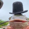 sebviibes