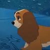 hershey_da_spaniel