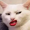 vuvuivee89