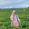 mutiaa_cnt