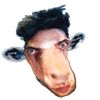 rawclaw