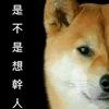 papq