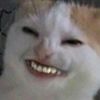 k_kouw_9k