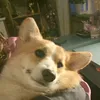 bonniewnoclyde2