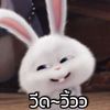 b_ml235