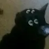 bbbbbbbbhhhhhgfggfdddeet
