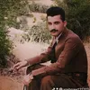 xoshnaw121312