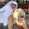 علوش  السينمائي