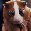 ennapoohoo2kuu