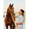 abdalrhmanemad5