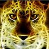 mohammadfahad040