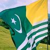 muhammadjaved6455