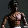 halla_______________