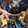 bobert_fan31