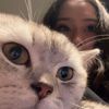 toeticklers77