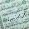 safaa.abo.elsoud5