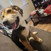 dayinthelifeofmoose0