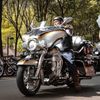 harley5469268
