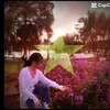 nguyen_nhan2023