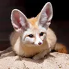 りゅうな