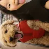 yuxly1