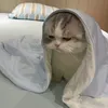 aleksandrathecomrade