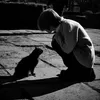 cat_269