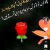 user9856830888917