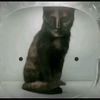 sadiiii.720p