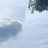ameliafaiha71