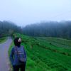 pimapimpim5