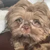 kubby1_
