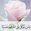 user8468918286557