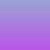 the_selz