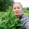 nganhachethai