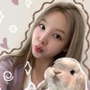 mish_kitty3