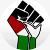 freepalestine91