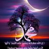 ماجد