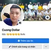 cuongdollar233